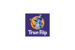 www.spillnettsteder.com - Trueflip casino logo Norge
